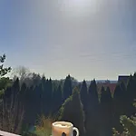 Krakowia *
