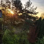 Krakowia *