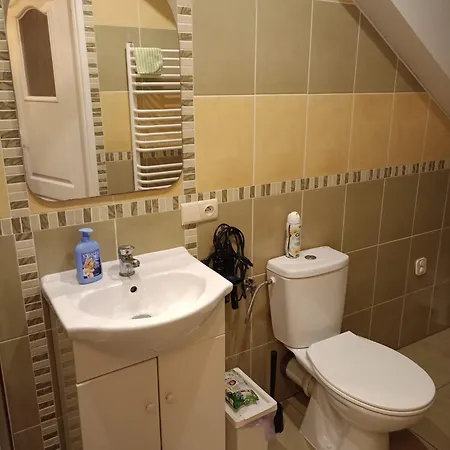Проживание в семье Krakowia *