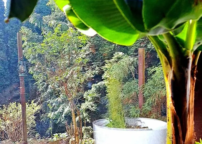 Krakowia ホームステイ *