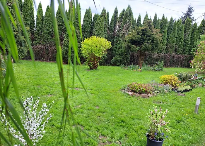 Krakowia ホームステイ *