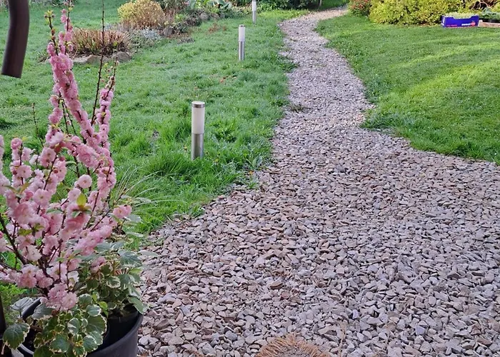 Krakowia ホームステイ